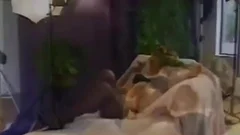 Pattractiveographer pokes Ladychap