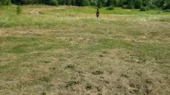 ass Games Undressing On Nature.
