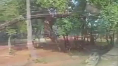 nasty Ladyboys Sucks And Sexs outdoors