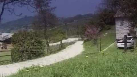 Trans Brasiliana Si Fa Inculare Nel Giardino