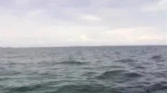 Ladyboys Paradise IsLand On The Open Water