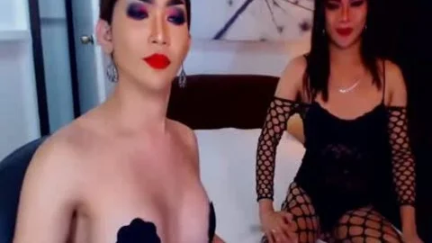 t-girl gets nailed In Dogstyle Position