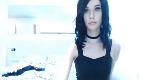 nice-looking shemale