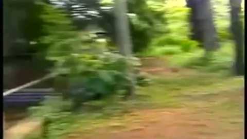 brunette lady-man fucked In The Woods